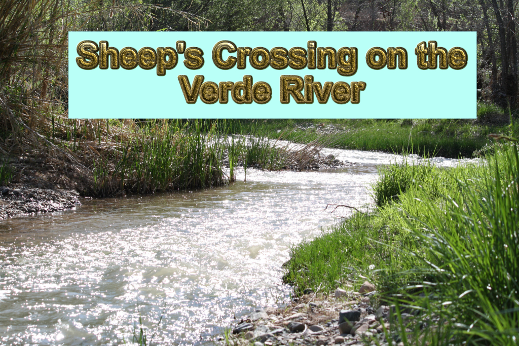 Sheep's Crossing (Verde River)