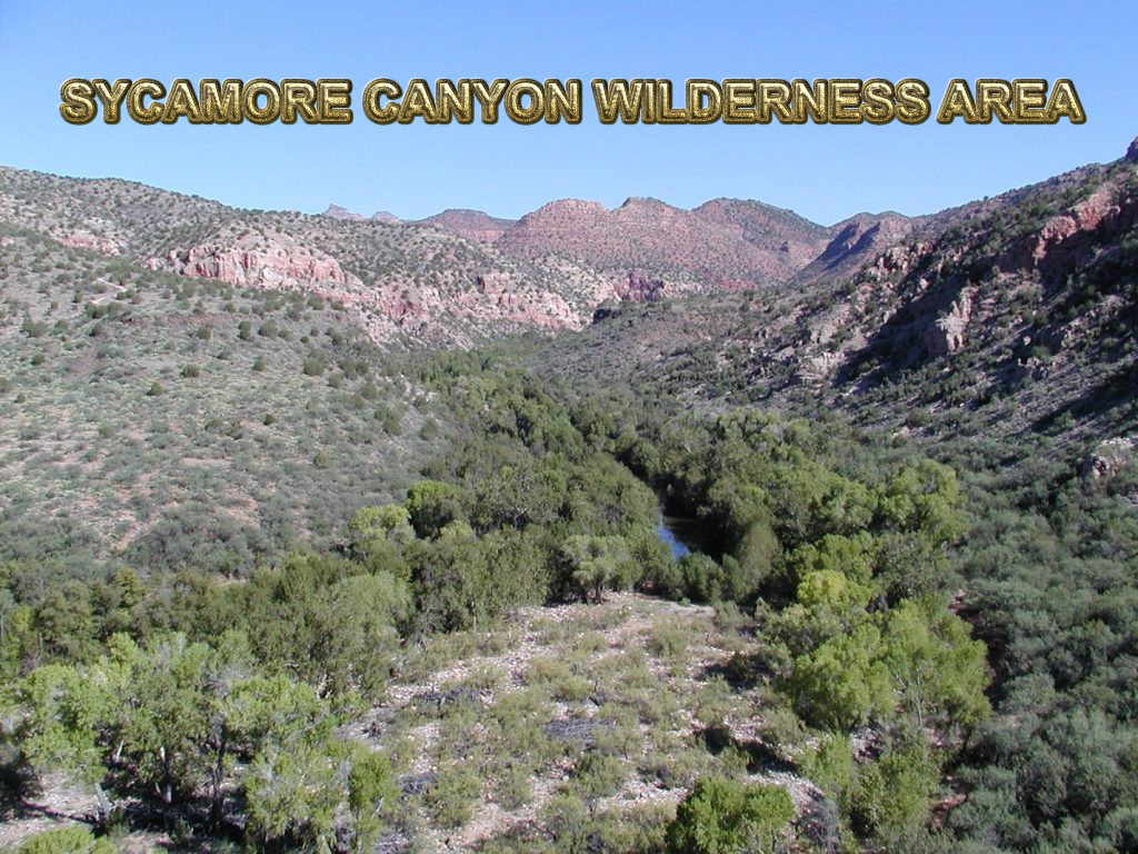 Sycamore Canyon Wilderness Area