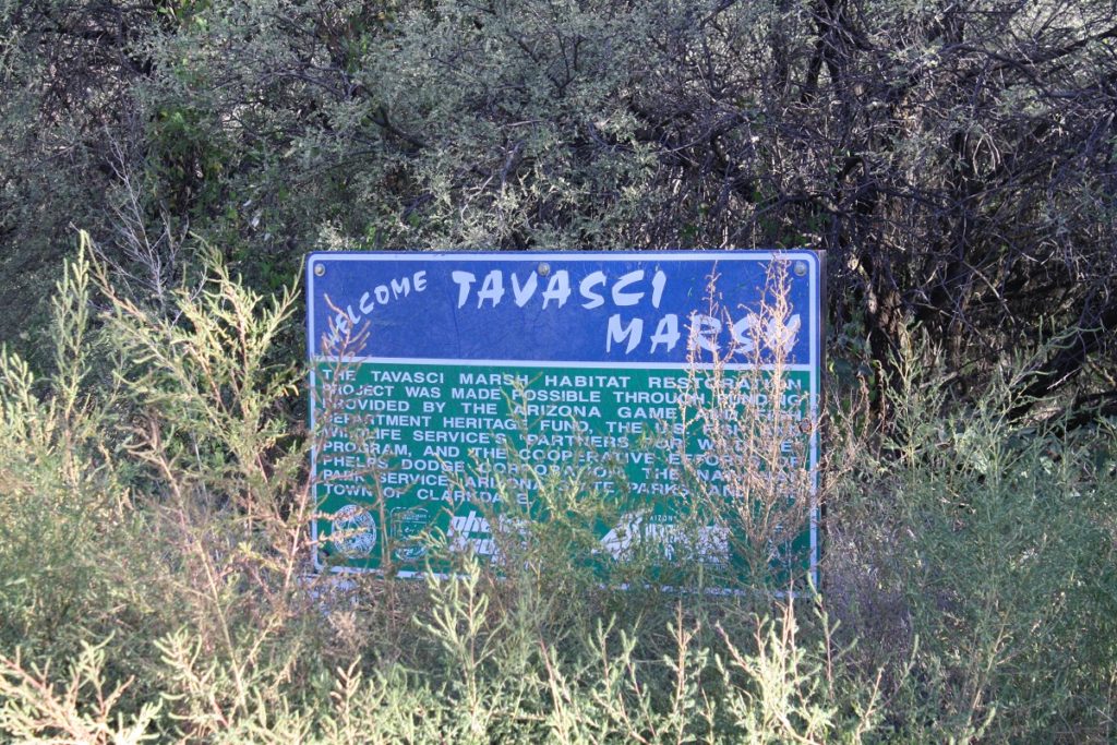 Tavasci Marsh (Tizigoot NM)
